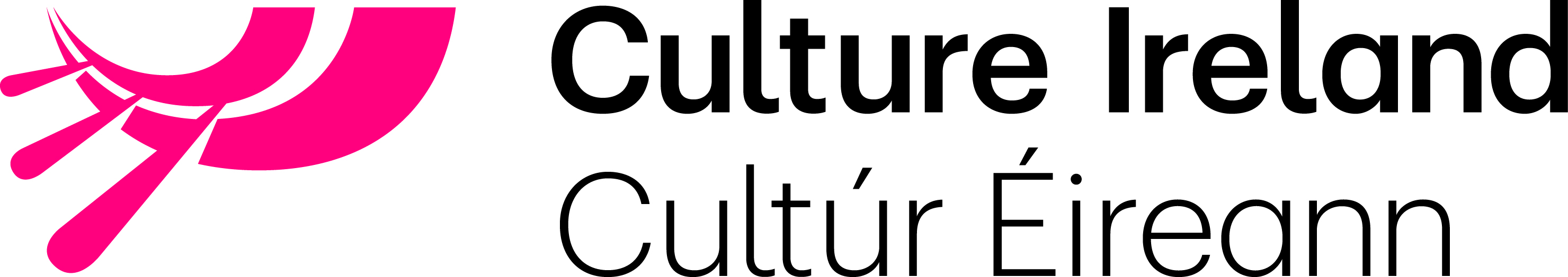 Support from Culture Ireland